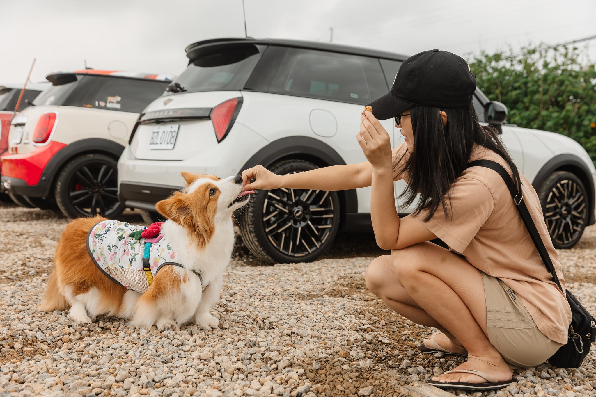 BMW大桐汽車 MINI環島淨灘 桃園站 10