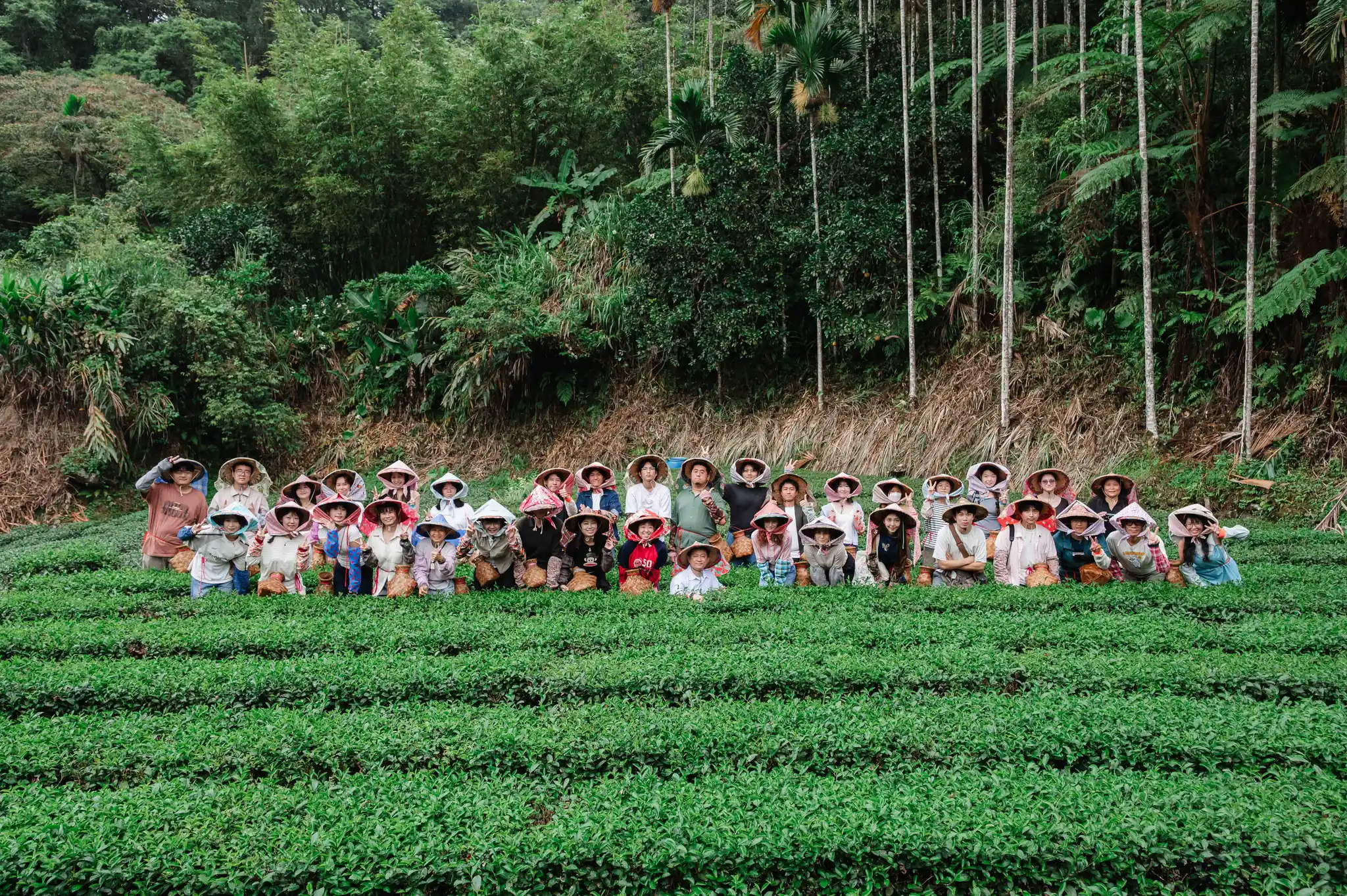 國立臺灣藝術大學 茶趣坪林 茶園大合照