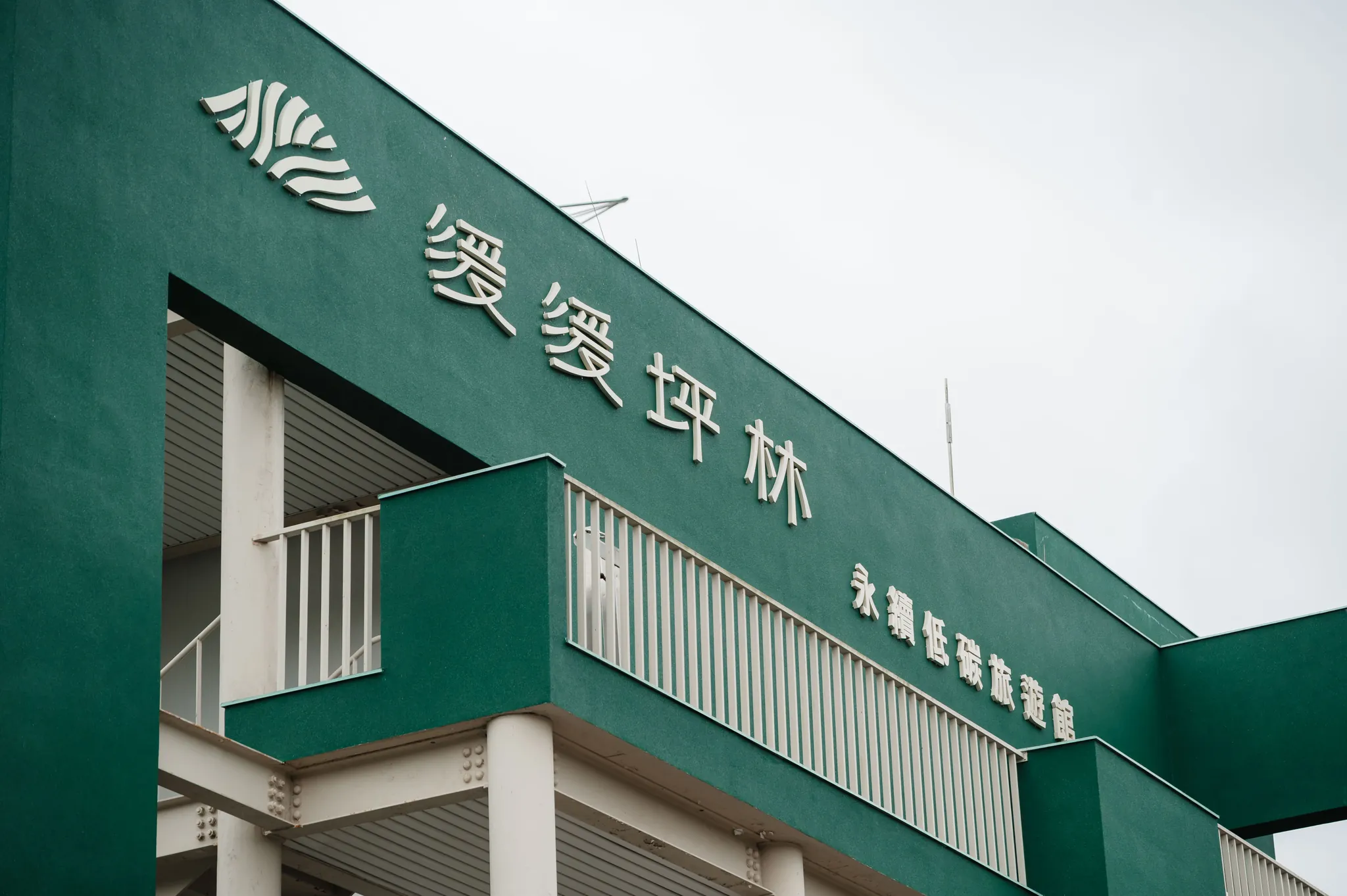 國立臺灣藝術大學 茶趣坪林 05