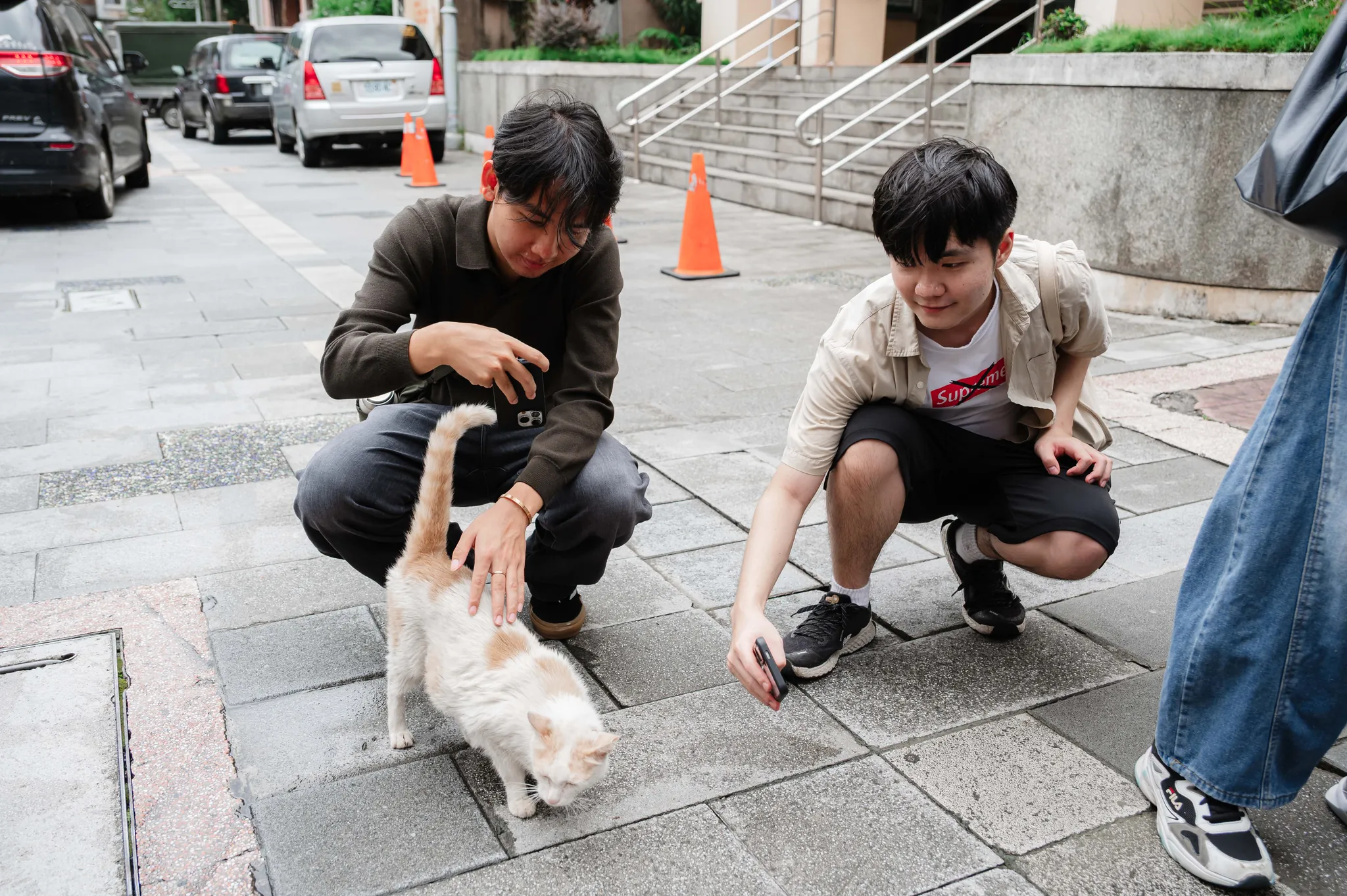 國立臺灣藝術大學 茶趣坪林 22