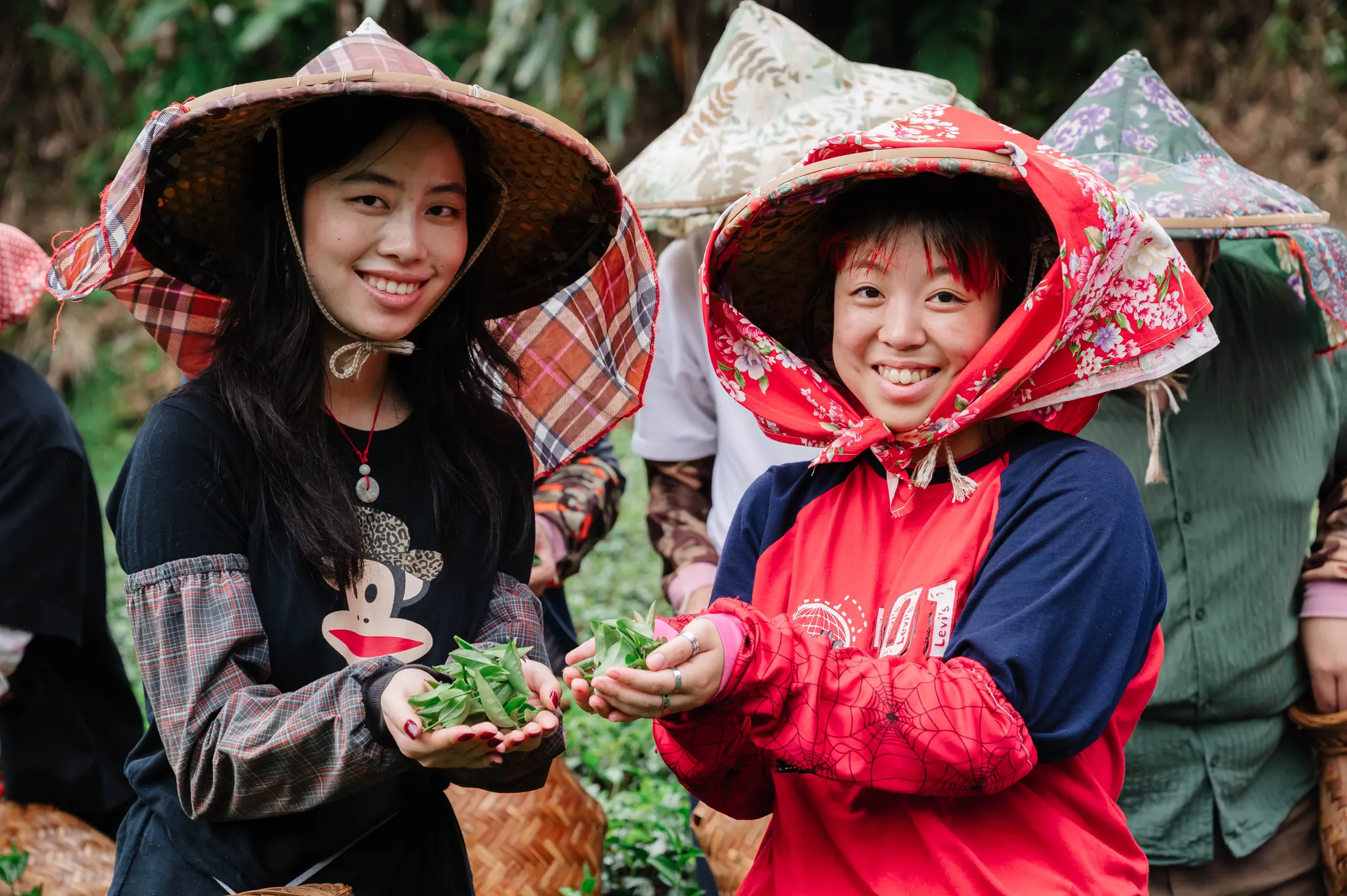 國立臺灣藝術大學 茶趣坪林 32