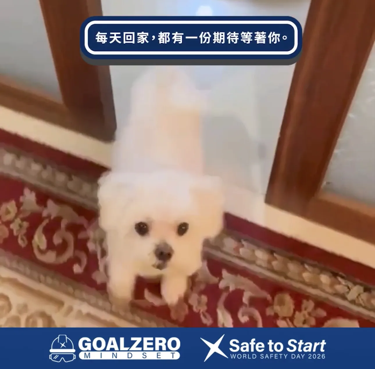 ECOLAB 世界安全日宣導影片 封面畫面